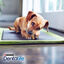 21 sticks Purina Dentalife snack para cães muito pequenos, , large Indicador imagem número 2